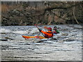 NS8246 : South Lanarkshire Landscape : Kayakers on the Clyde below Crossford Bridge by Richard West