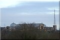 TQ2990 : Alexandra Palace from Shepherds Hill Gardens by DS Pugh