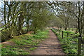 SJ9022 : Footpath from Stafford Castle by Rod Grealish