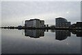 TQ4080 : Across Royal Victoria Dock by DS Pugh