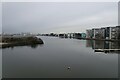 TQ4380 : Dock from Sir Steve Redgrave Bridge by DS Pugh