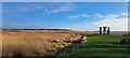 TM3957 : Reedbeds and sculptures, Snape Maltings by Christopher Hilton