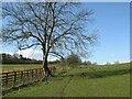 NY9070 : Footpath near Walwick Hall by Adrian Taylor