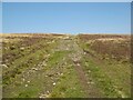 NY3134 : The Cumbria Way, Hare Stones by Adrian Taylor