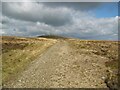 NY3134 : The Cumbria Way, Hare Stones by Adrian Taylor