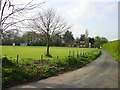  : Rodmersham Cricket Club by Penny Mayes