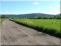 NZ5905 : Disused Railway, Bank Foot by Mick Garratt