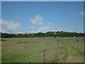 TQ1605 : Sompting Fields and Church by Chris Shaw