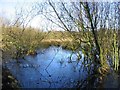 SJ8093 : Wild Fowl Sanctuary by Dave Smethurst