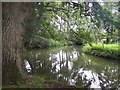 SP6306 : River Thame, Waterperry by Maureen Shepherd