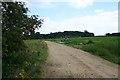  : Footpath to Lackford by Bob Jones