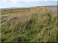 SS7643 : Moorland near Brendon Two Gates by Richard Mascall