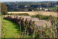 SX8955 : Straw  bales, Higher Alston, near Churston by Crispin Purdye