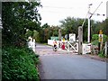 TL9525 : Crossing at Chitts Hill by Glyn Baker