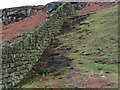 NZ6301 : Wall, Farndale by Mick Garratt