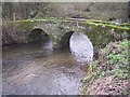 SO9559 : Pedestrian Bridge by Shell Ford by Bob Embleton