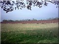 TM3567 : Sibton Hop Field in November by Geographer