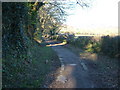 SX8077 : Haytor Granite Tramway near Bovey Tracey by Derek Harper