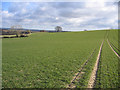 ST4217 : View east from above Compton Durville, Somerset by Rodney Burton