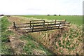 TF1623 : Wonky footbridge in the fens by Terry Butcher