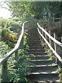 TF6628 : A close up of the new wooden path leading up from Dersingham Bog. by Andy Peacock