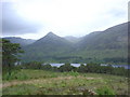 NH1621 : Caledonian Pine trees line Loch Affric by Alasdair MacDonald