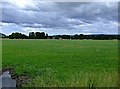 NH5052 : Farmland near Urray by Donald H Bain