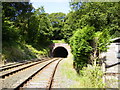 SD2171 : Railway tunnel near Furness Abbey by Phil Catterall