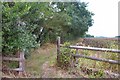  : Footpath to Upthorpe by Bob Jones