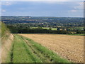 TQ6761 : Looking across field to Birling Church by Pip Rolls