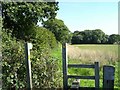  : South Cheshire Way by Steve Lewin