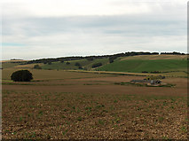  : Farmland near Aldbourne by Andrew Smith