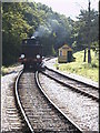 SZ5990 : Running Round, Smallbrook Junction. Isle of Wight Railway by Martin Creek