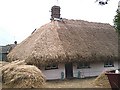 TL9927 : Thatching in progress, Mile End. by John Myers