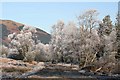 NN5721 : Frosty trees by Dave Coustick