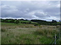 NY8677 : Fields west of the River North Tyne above Wark by P Glenwright