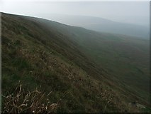  : Cow Close Fell. by Steve Partridge