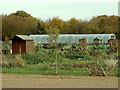 TM0837 : Allotments along Pound Lane by Robert Edwards