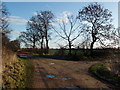  : Junction of Ings Lane with Arksey Common Lane, Arksey, Bentley, South Yorkshire by Robert  Neilson