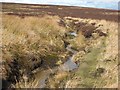 NZ0238 : Leat on the slopes of Fatherley Hill by Oliver Dixon