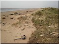 NX9255 : Coast at Mersehead Bird Reserve by Oliver Dixon