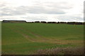  : Farmland near Hedley Hill by P Glenwright