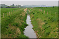 ST5991 : Drainage dyke near the River Severn by Martin Loader