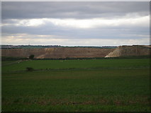  : Arable and pasture land by Carol Rose