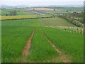  : Farmland, Tufton Warren by Andrew Smith