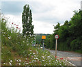 SO6521 : Speed camera before 'hairy' junction in Lea by Pauline E