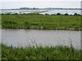 TL4988 : The Ouse Washes by Oliver Dixon