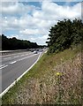  : A12, Witham Bypass by John Myers