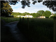  : Beili Glas Farm stands out in the evening sun by Carol Rose