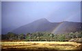 NH1621 : Caledonian forest south of Loch Affric by Trevor Rickard